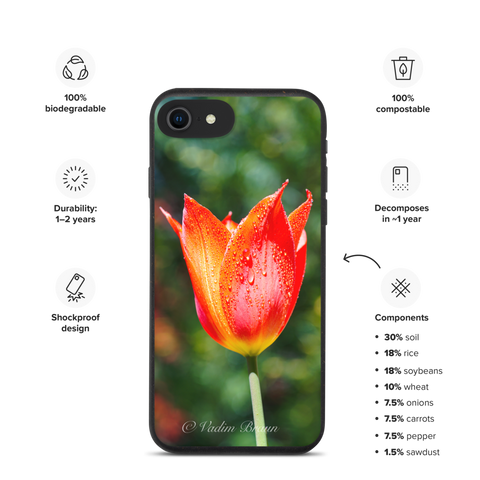 Tulpen Blume iPhonecase