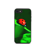 Marienkäfer 2 Biologisch abbaubare iPhonehülle
